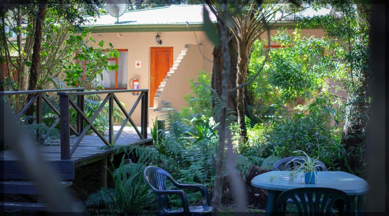 Andelomi Forest Lodge Stormsrivier Bagian luar foto