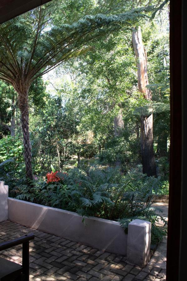 Andelomi Forest Lodge Stormsrivier Bagian luar foto