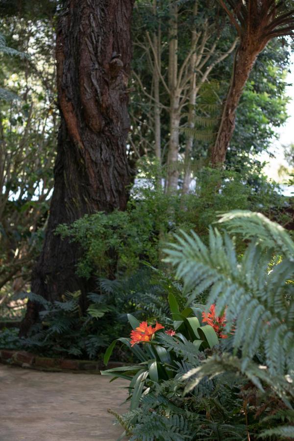 Andelomi Forest Lodge Stormsrivier Bagian luar foto