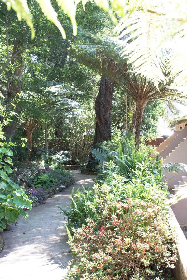 Andelomi Forest Lodge Stormsrivier Bagian luar foto