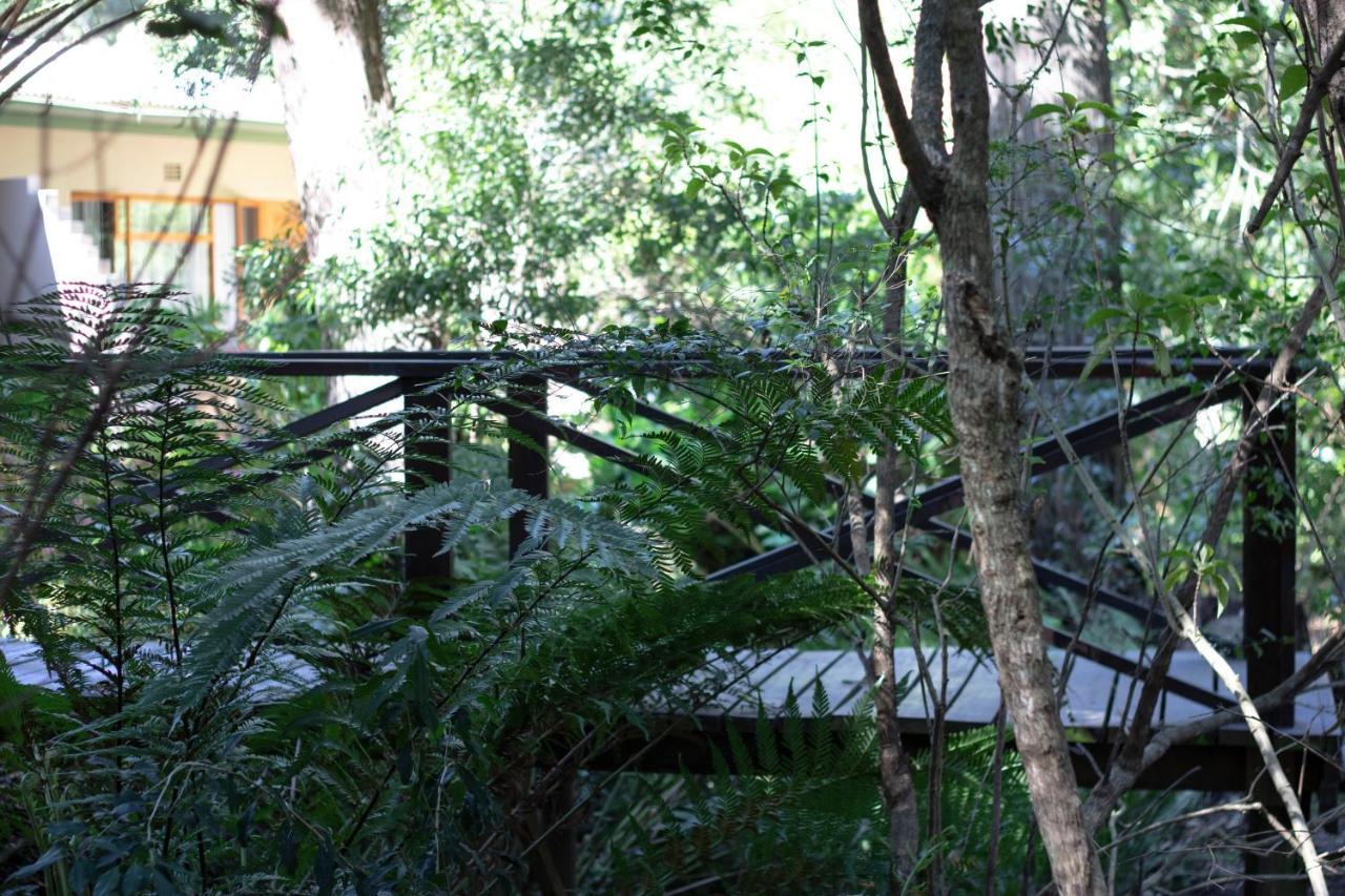 Andelomi Forest Lodge Stormsrivier Bagian luar foto