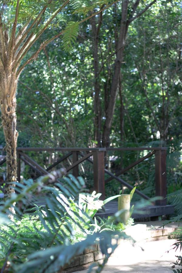 Andelomi Forest Lodge Stormsrivier Bagian luar foto