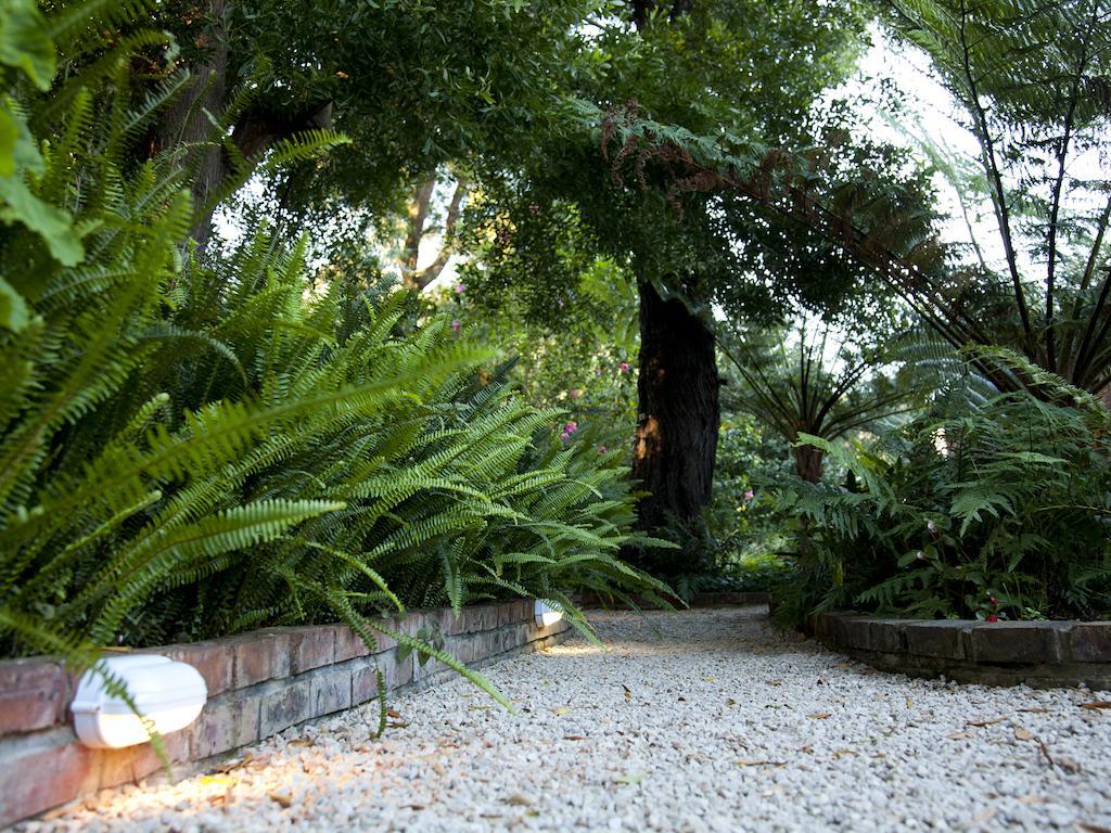 Andelomi Forest Lodge Stormsrivier Bagian luar foto