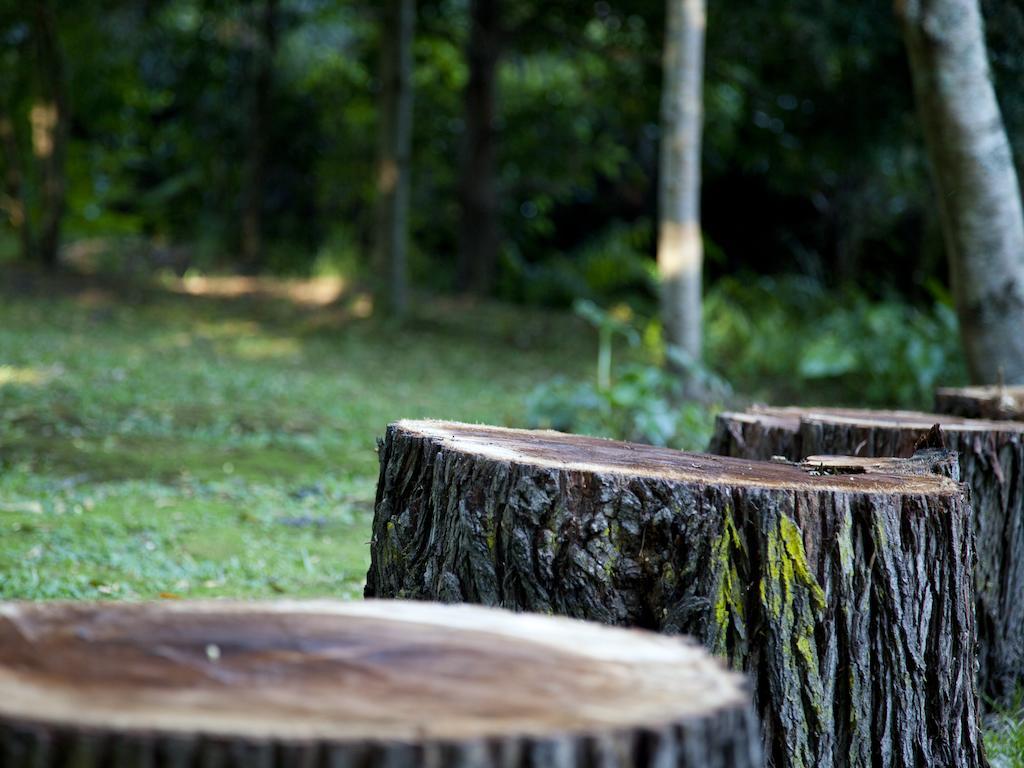 Andelomi Forest Lodge Stormsrivier Bagian luar foto