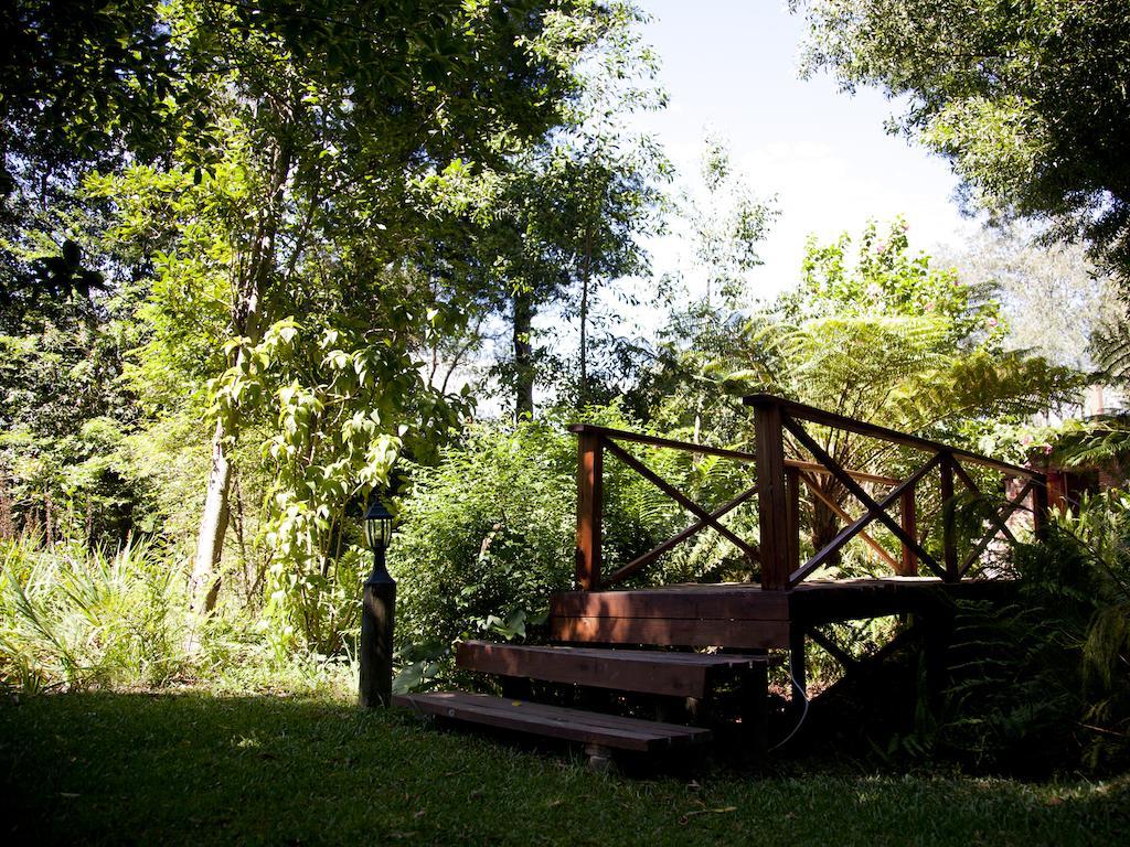 Andelomi Forest Lodge Stormsrivier Bagian luar foto