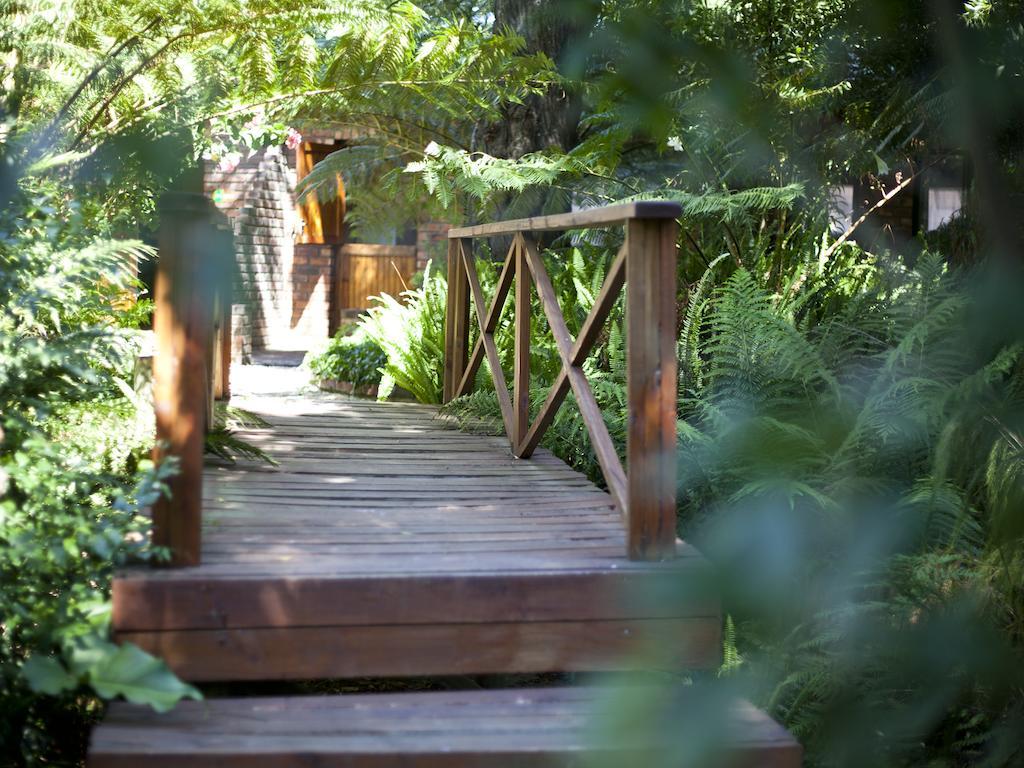 Andelomi Forest Lodge Stormsrivier Bagian luar foto
