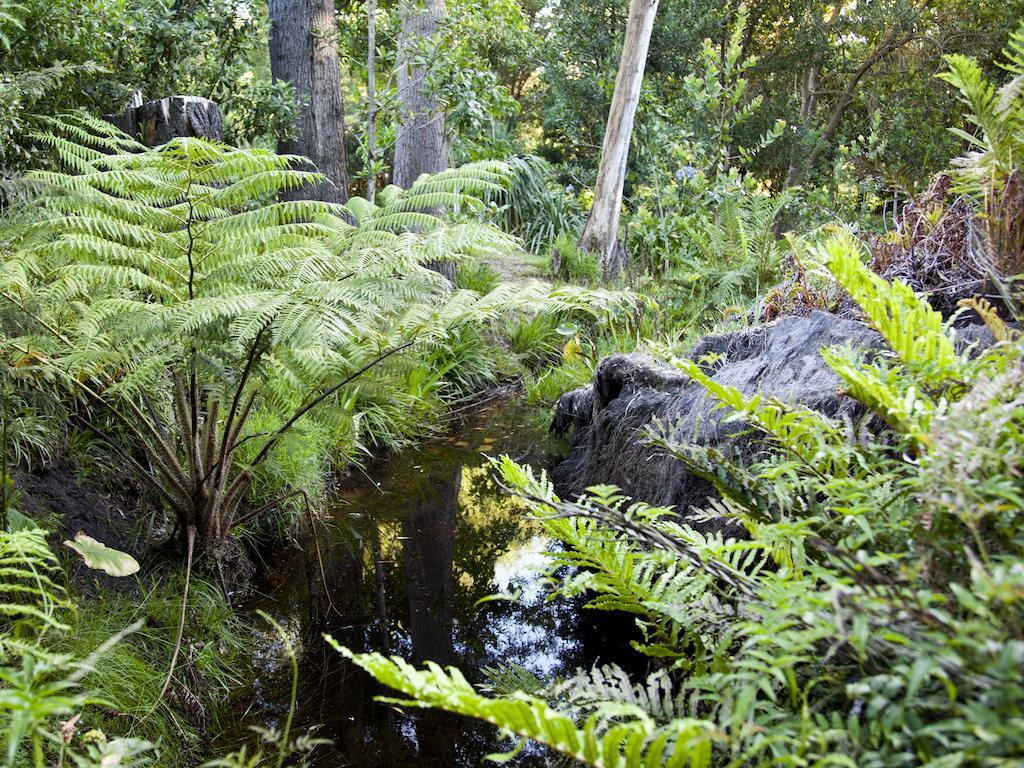 Andelomi Forest Lodge Stormsrivier Bagian luar foto