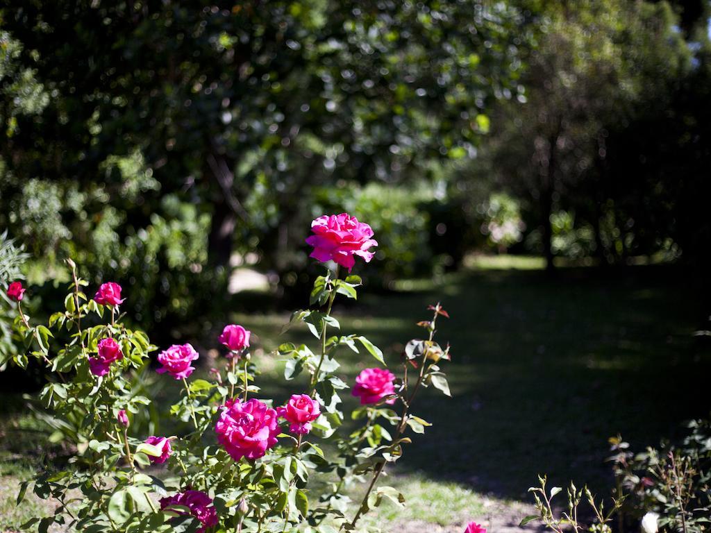 Andelomi Forest Lodge Stormsrivier Bagian luar foto