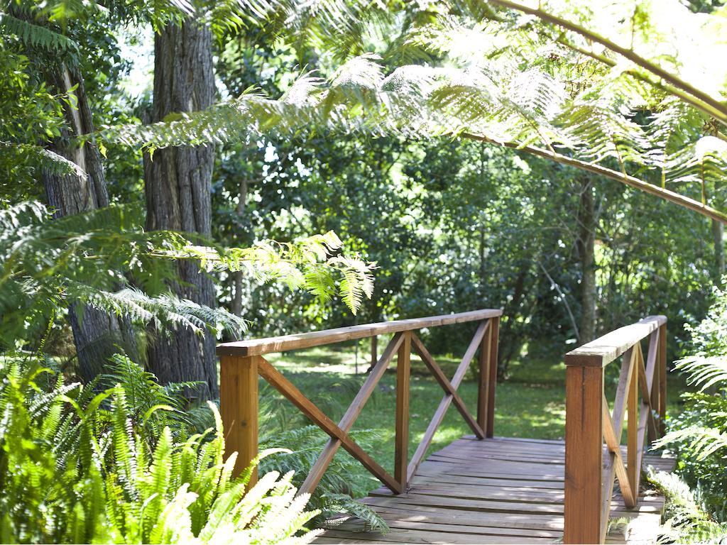 Andelomi Forest Lodge Stormsrivier Bagian luar foto